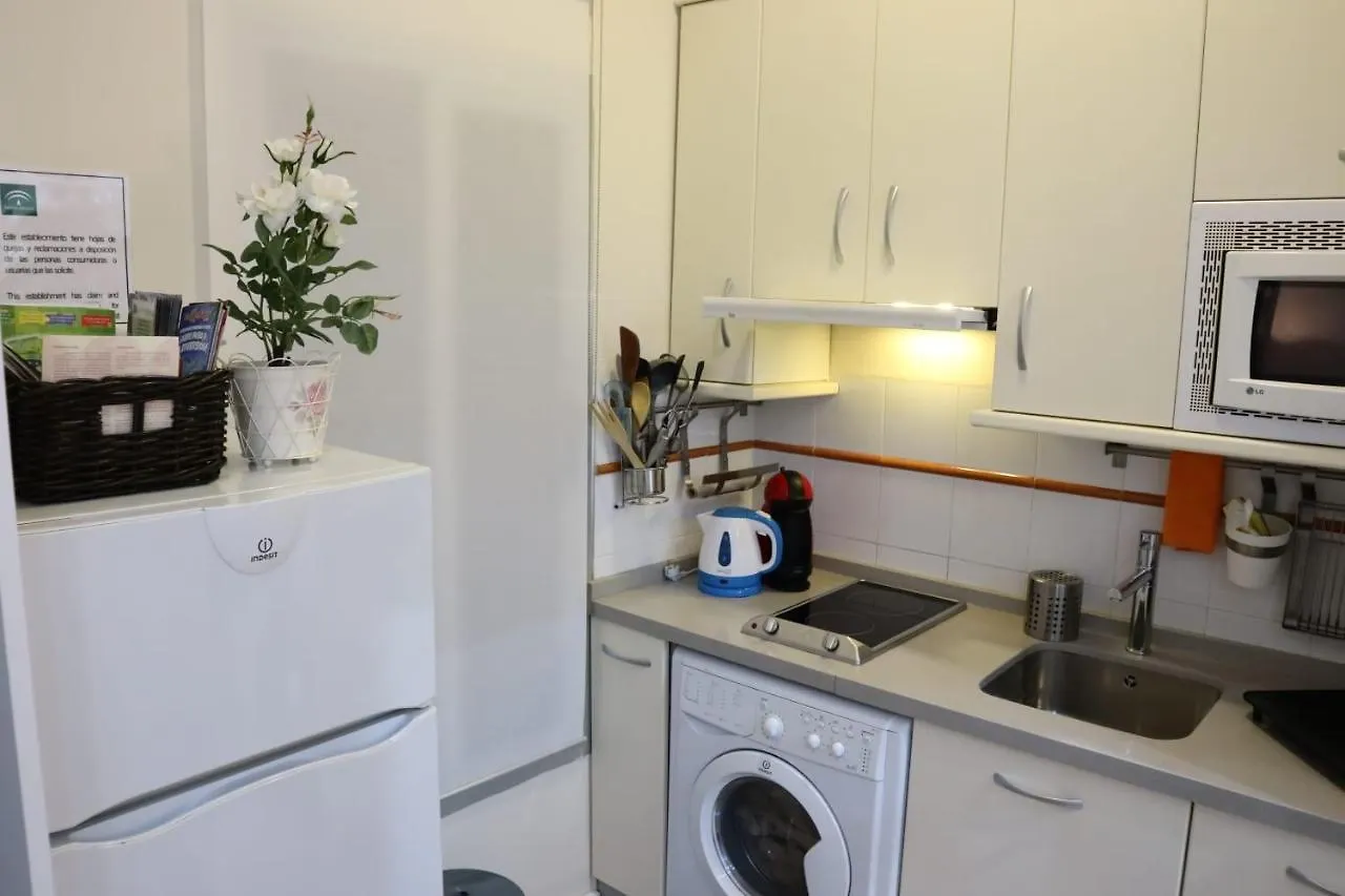 Διαμέρισμα Apartamento Centro Historico Sevilla